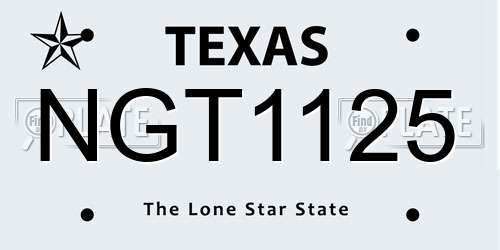 NGT1125 Texas License Plate