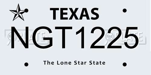 NGT1225 Texas License Plate