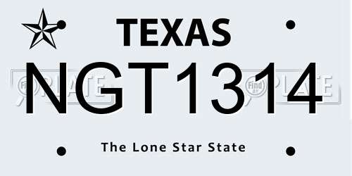 NGT1314 Texas License Plate