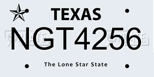 NGT4256 Texas License Plate