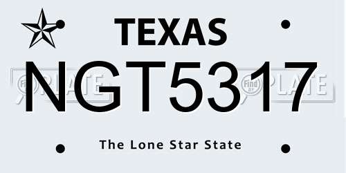 NGT5317 Texas License Plate