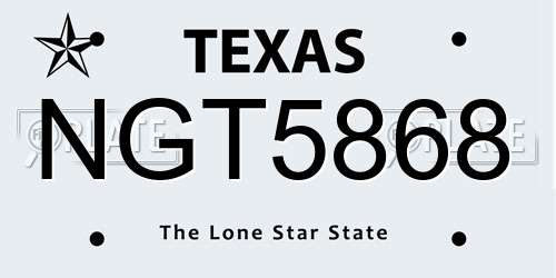 NGT5868 Texas License Plate