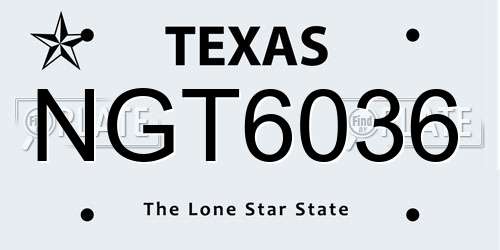 NGT6036 Texas License Plate