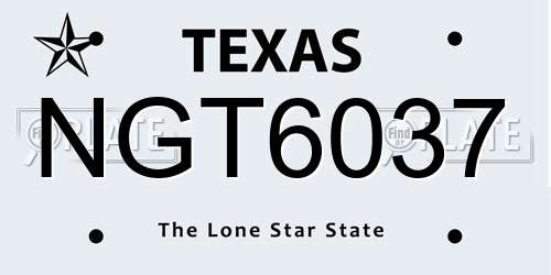 NGT6037 Texas License Plate