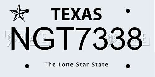 NGT7338 Texas License Plate