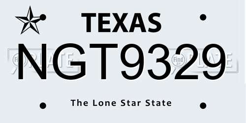 NGT9329 Texas License Plate