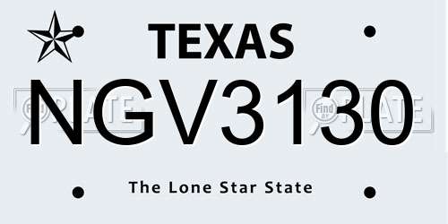 NGV3130 Texas License Plate