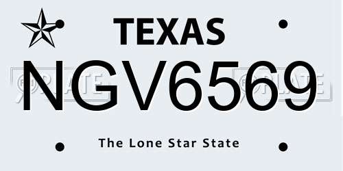 NGV6569 Texas License Plate