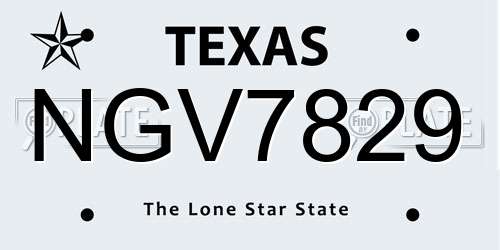 NGV7829 Texas License Plate