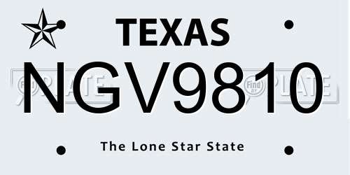 NGV9810 Texas License Plate