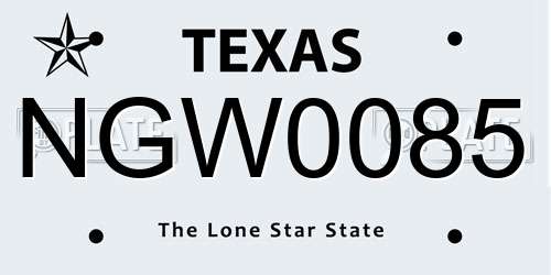 NGW0085 Texas License Plate