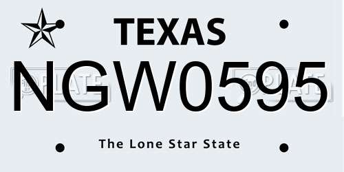 NGW0595 Texas License Plate