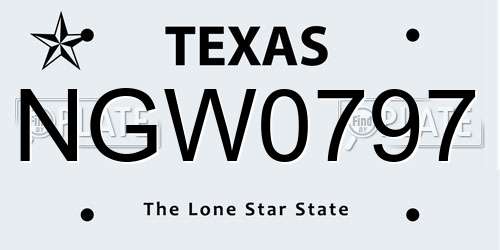 NGW0797 Texas License Plate