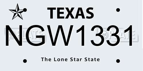 NGW1331 Texas License Plate