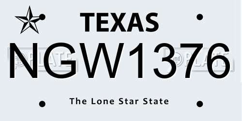 NGW1376 Texas License Plate