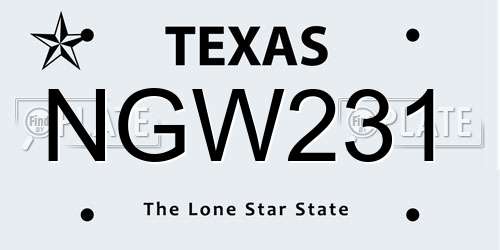 NGW231 Texas License Plate