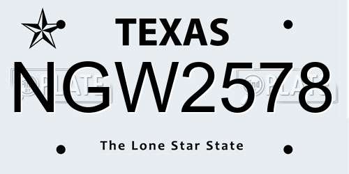 NGW2578 Texas License Plate