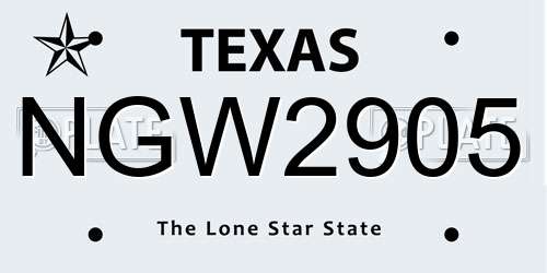 NGW2905 Texas License Plate