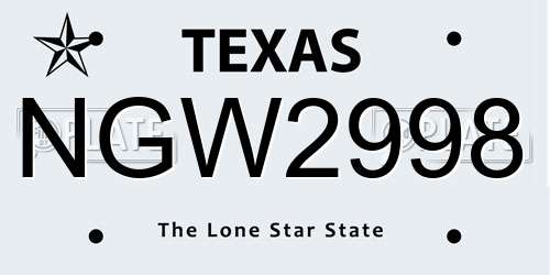 NGW2998 Texas License Plate