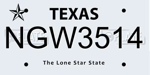 NGW3514 Texas License Plate