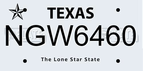 NGW6460 Texas License Plate