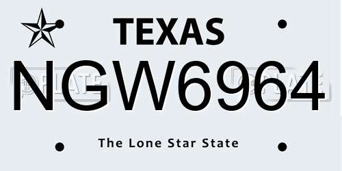 NGW6964 Texas License Plate