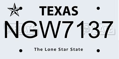 NGW7137 Texas License Plate