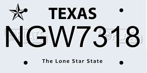 NGW7318 Texas License Plate