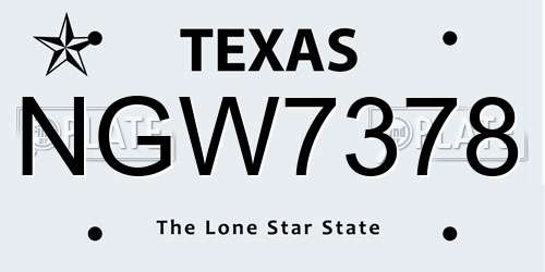 NGW7378 Texas License Plate