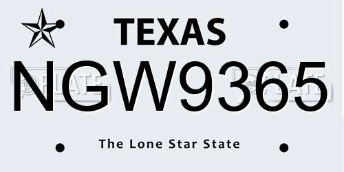 NGW9365 Texas License Plate