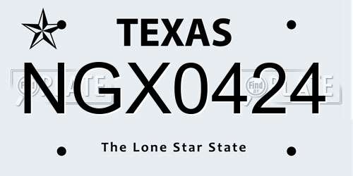 NGX0424 Texas License Plate