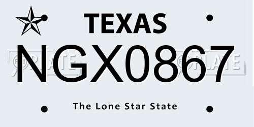 NGX0867 Texas License Plate