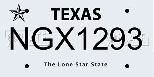NGX1293 Texas License Plate