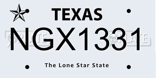 NGX1331 Texas License Plate