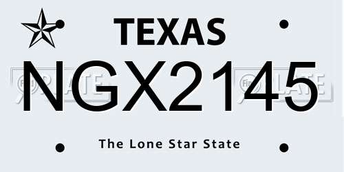 NGX2145 Texas License Plate