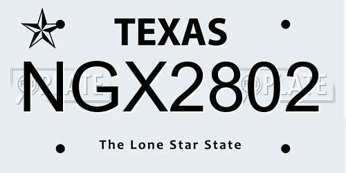 NGX2802 Texas License Plate