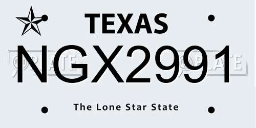 NGX2991 Texas License Plate