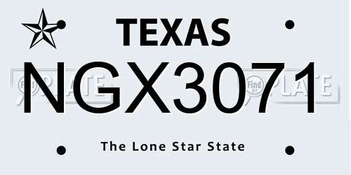 NGX3071 Texas License Plate