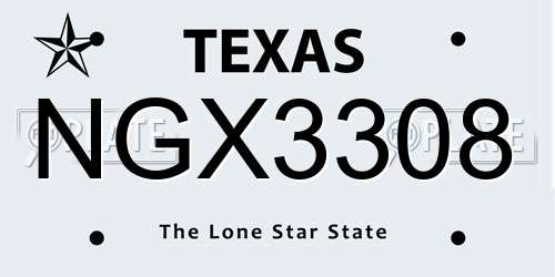 NGX3308 Texas License Plate