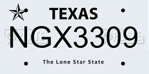 NGX3309 Texas License Plate