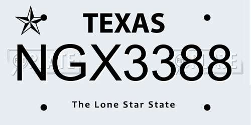 NGX3388 Texas License Plate