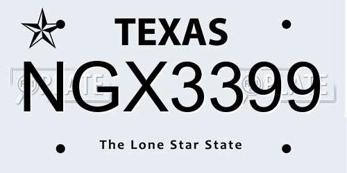 NGX3399 Texas License Plate