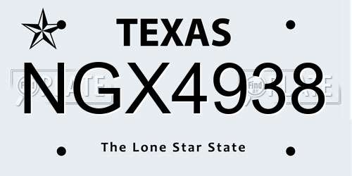 NGX4938 Texas License Plate