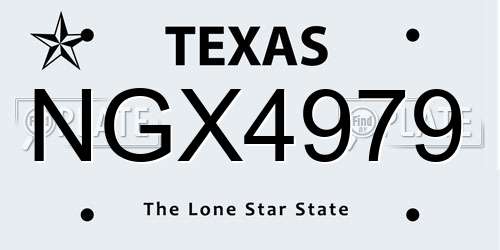 NGX4979 Texas License Plate