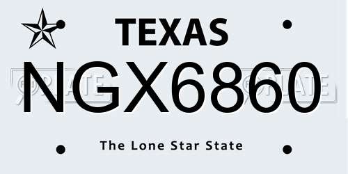 NGX6860 Texas License Plate