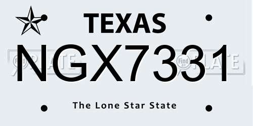NGX7331 Texas License Plate