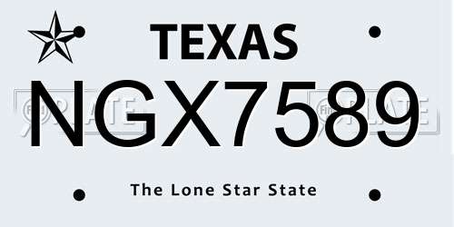 NGX7589 Texas License Plate