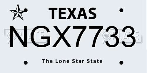 NGX7733 Texas License Plate