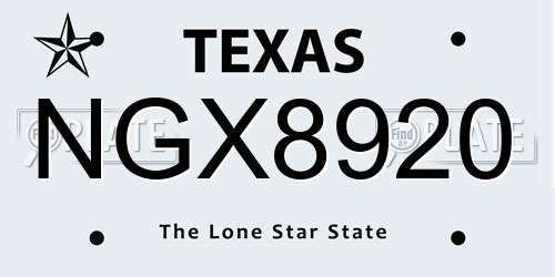 NGX8920 Texas License Plate