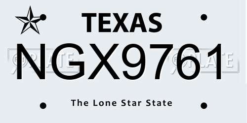 NGX9761 Texas License Plate